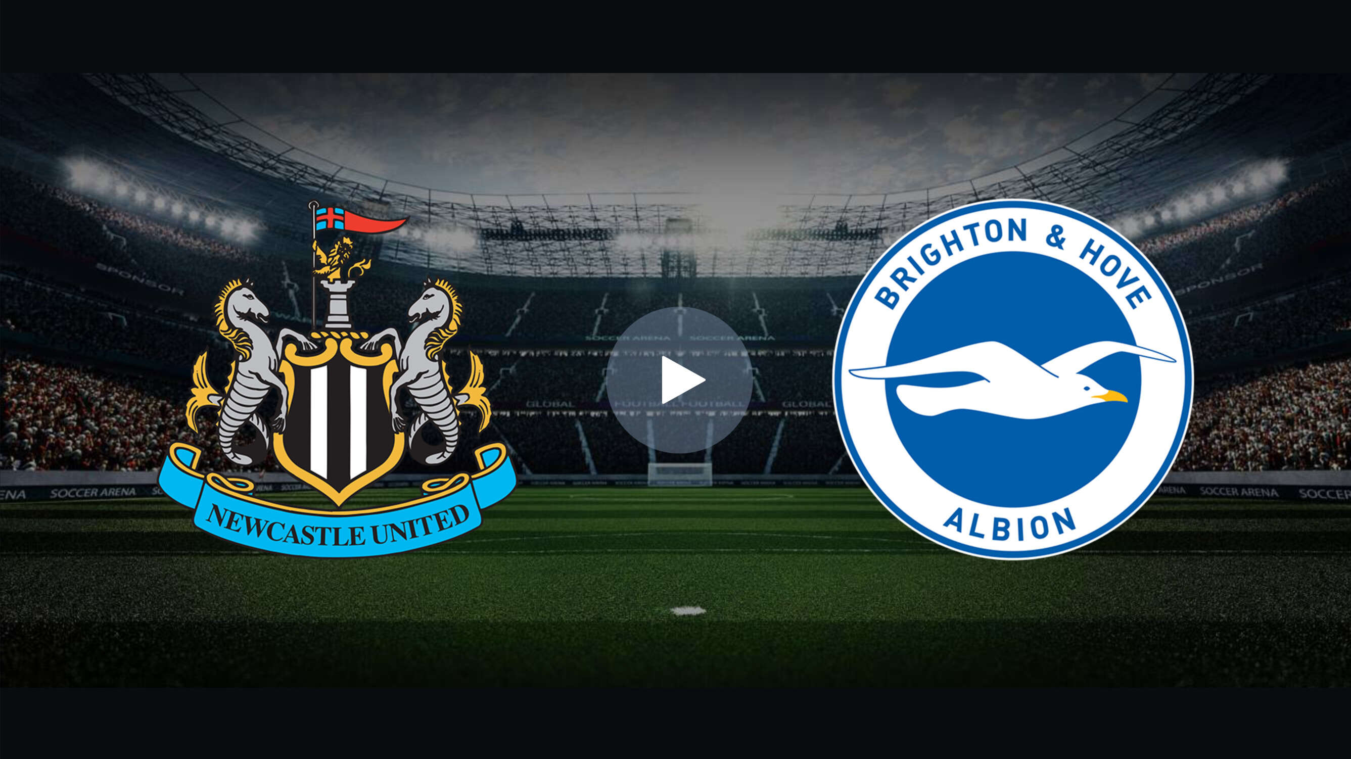 Watch Newcastle vs Brighton Live Online Premier League Match on
