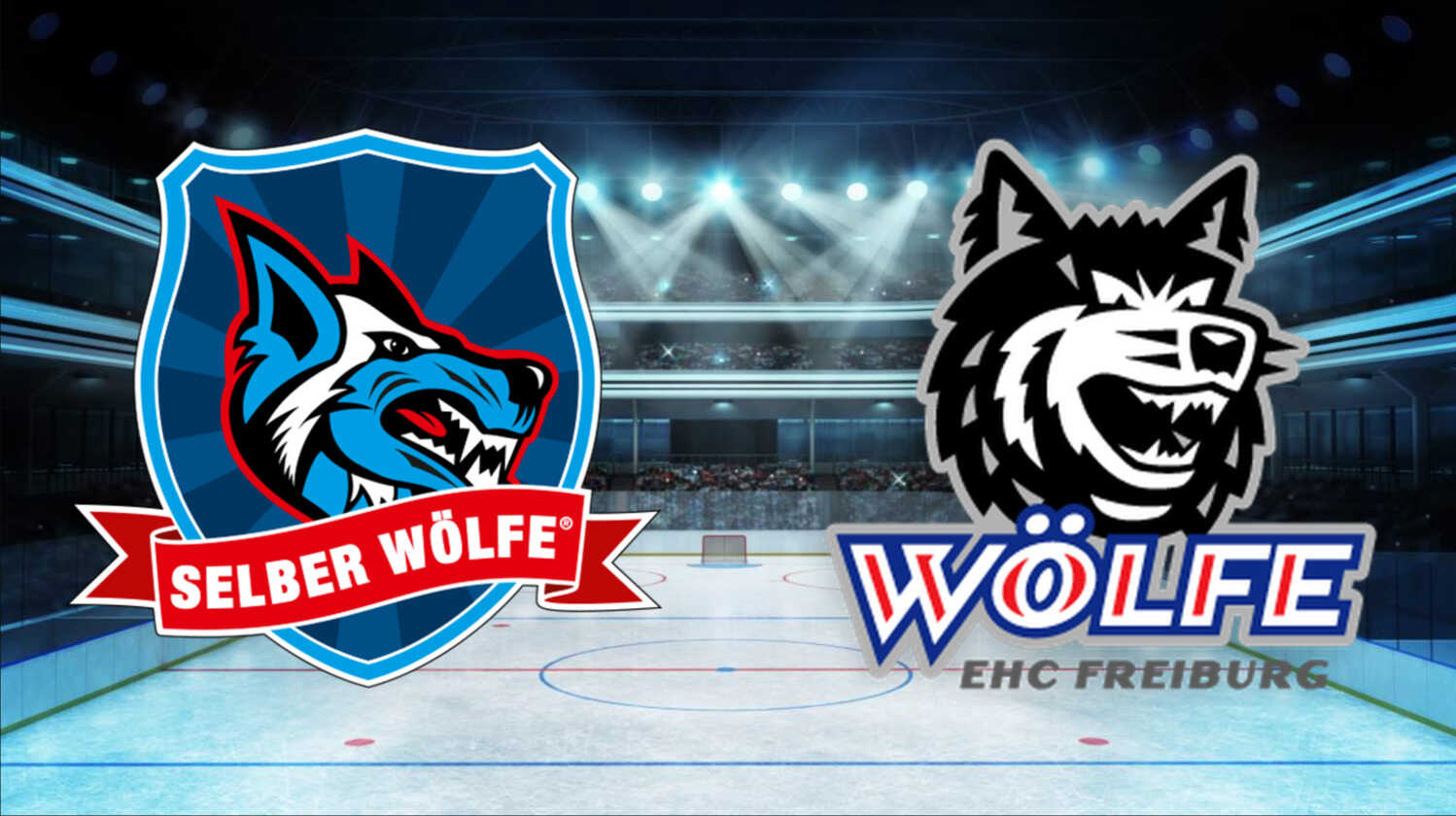 Online Bertragung Des Ice Hockey German Del Spiels Selber W Lfe Vs